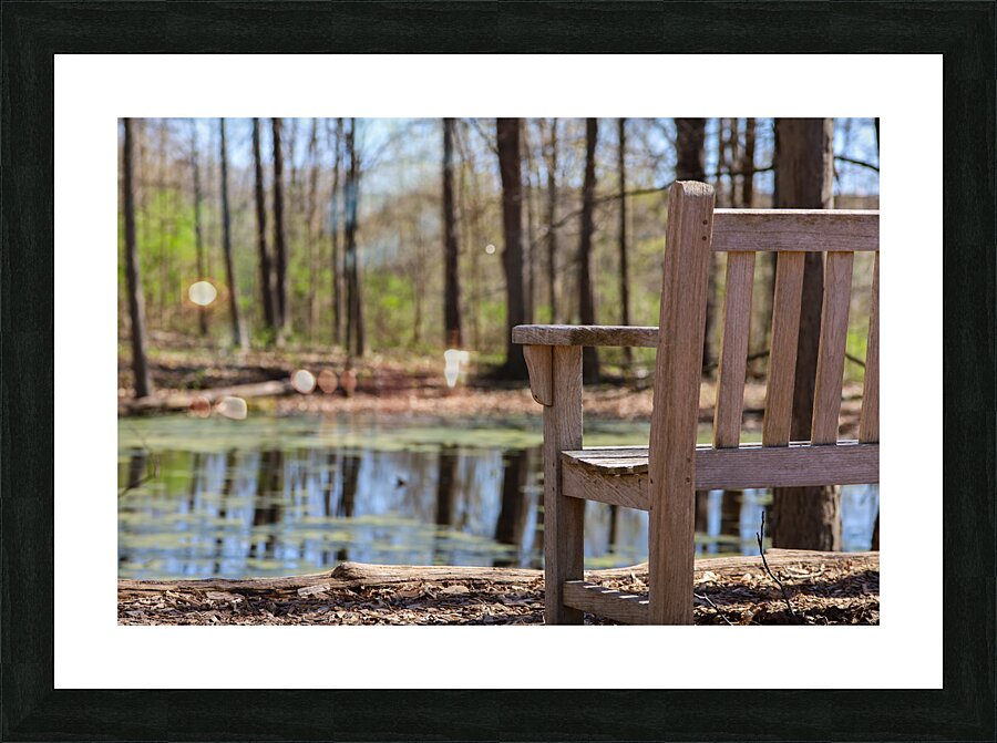Nature’s View Picture Frame print