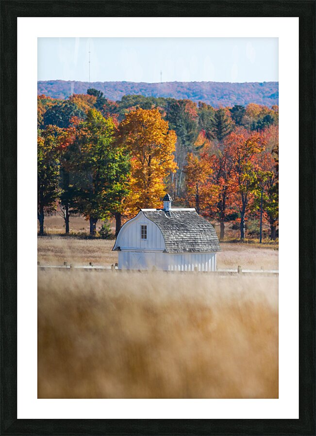 Mini D.H.Day Barn  Picture Frame print