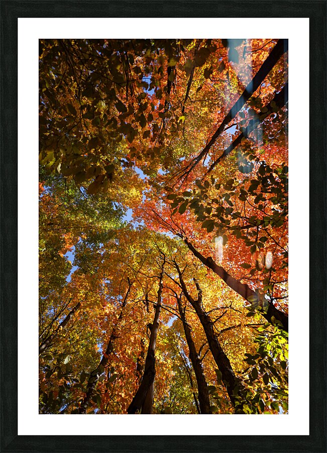 Nature’s Masterpiece-Fall Picture Frame print