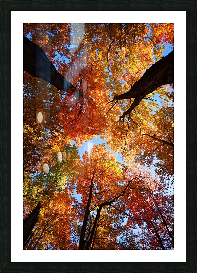 Natures Palette Picture Frame print