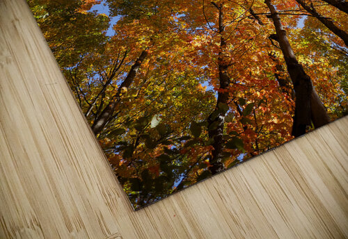 Nature’s Masterpiece-Fall Caleb Pentoney Star Focus Photography puzzle