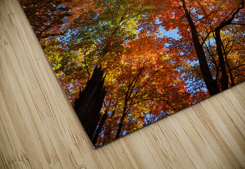 Natures Palette Caleb Pentoney Star Focus Photography puzzle
