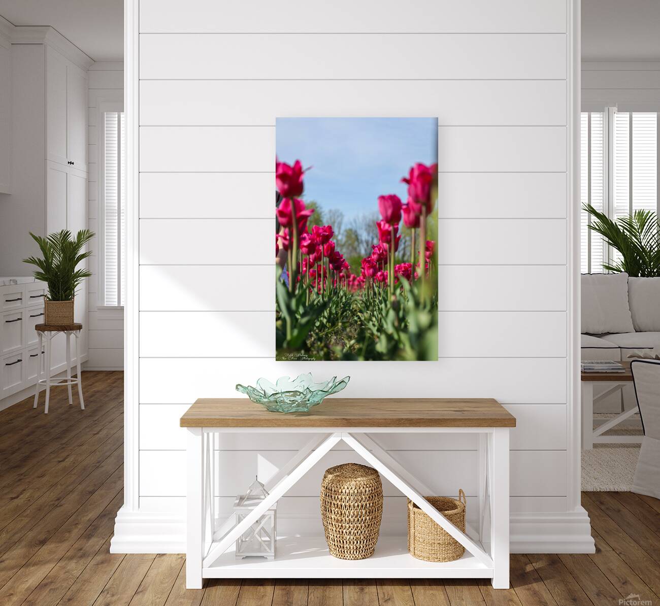 Tulip Time 3 Reproduction