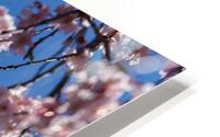 The Dream HD Metal print