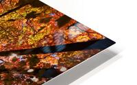 Nature’s Masterpiece-Fall HD Metal print