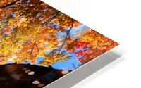Natures Palette HD Metal print
