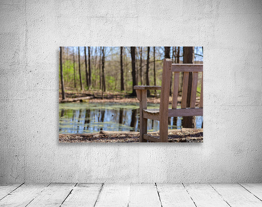 Nature’s View Wall Preview