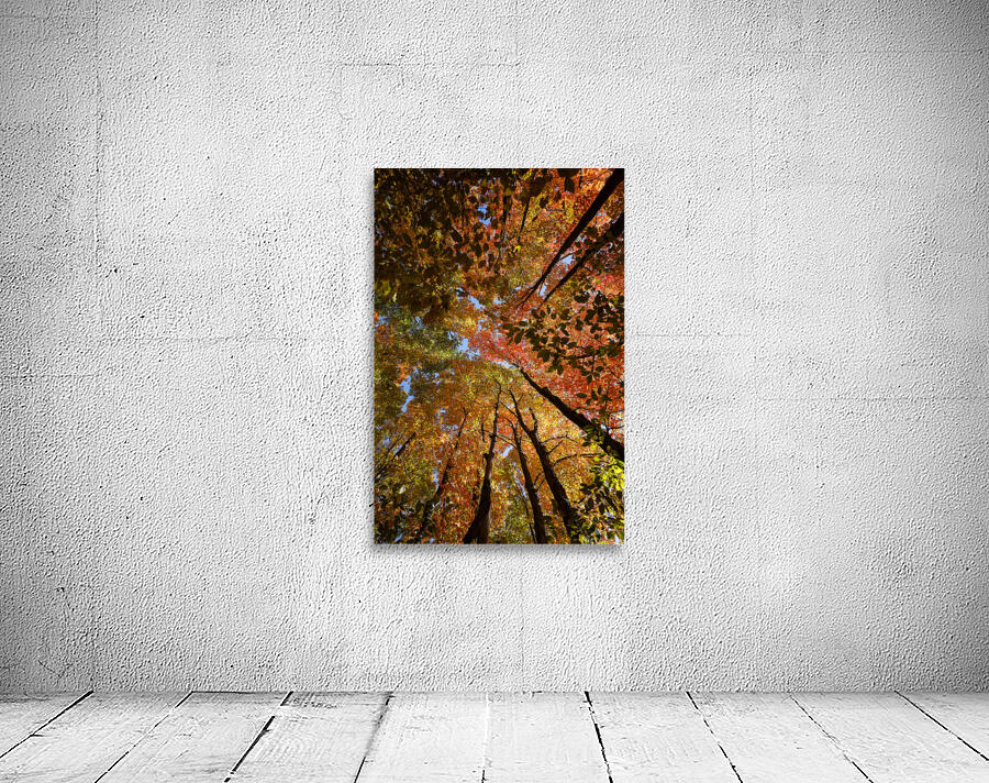 Nature’s Masterpiece-Fall Wall Preview