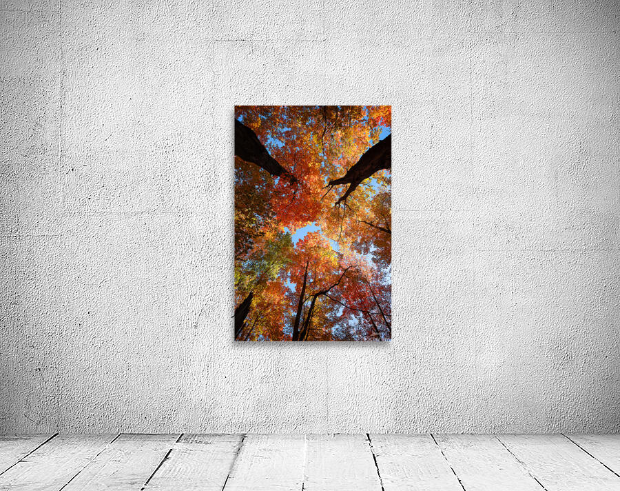 Natures Palette Wall Preview