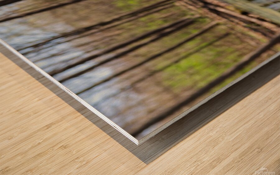 Nature’s View Wood print