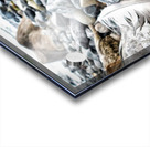 Rocky Shores Acrylic print