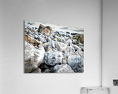 Rocky Shores Acrylic Print