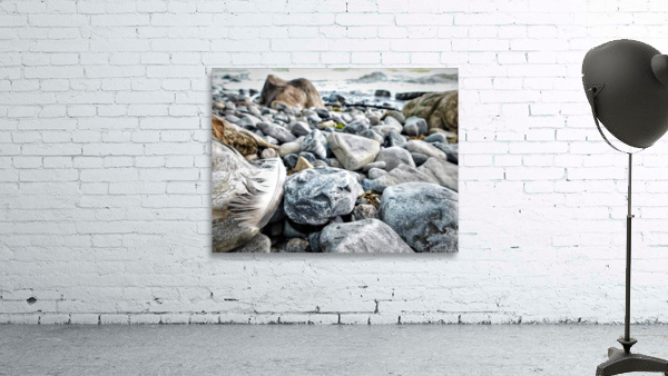 Rocky Shores Wall Preview