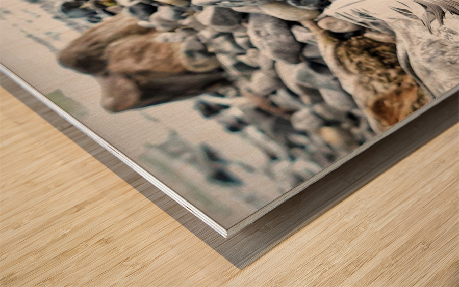 Rocky Shores Wood print