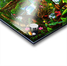 Rainforest Beauty Acrylic print