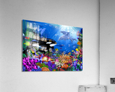Orca s Ocean Shipwreck Acrylic Print