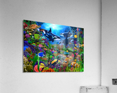 Orcas Ocean Domain Acrylic Print