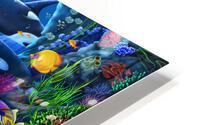 Orcas Ocean Domain HD Metal print