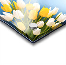 Spring flowers background Acrylic print