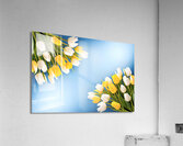 Spring flowers background Acrylic Print