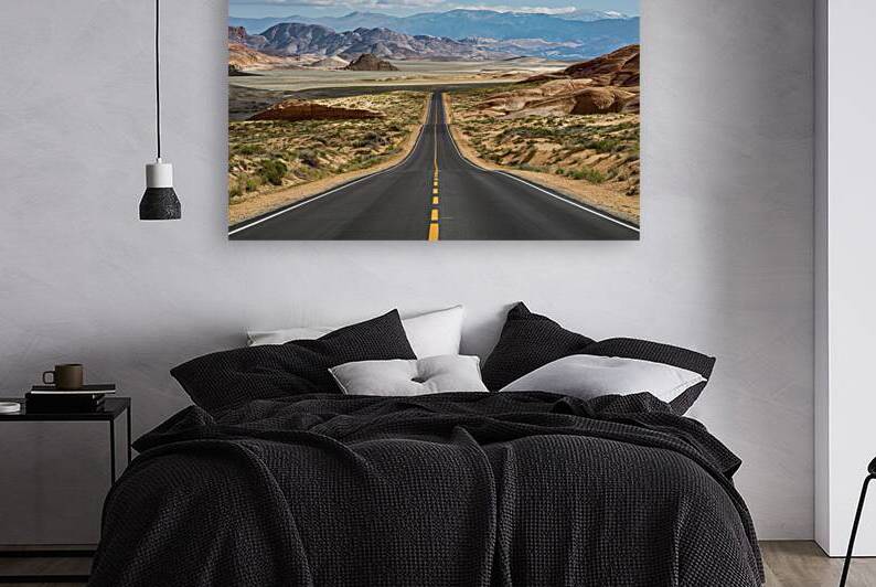 breathtaking landscape road in a desert valley ba 1722668259.4072 by Liviu Ghitun