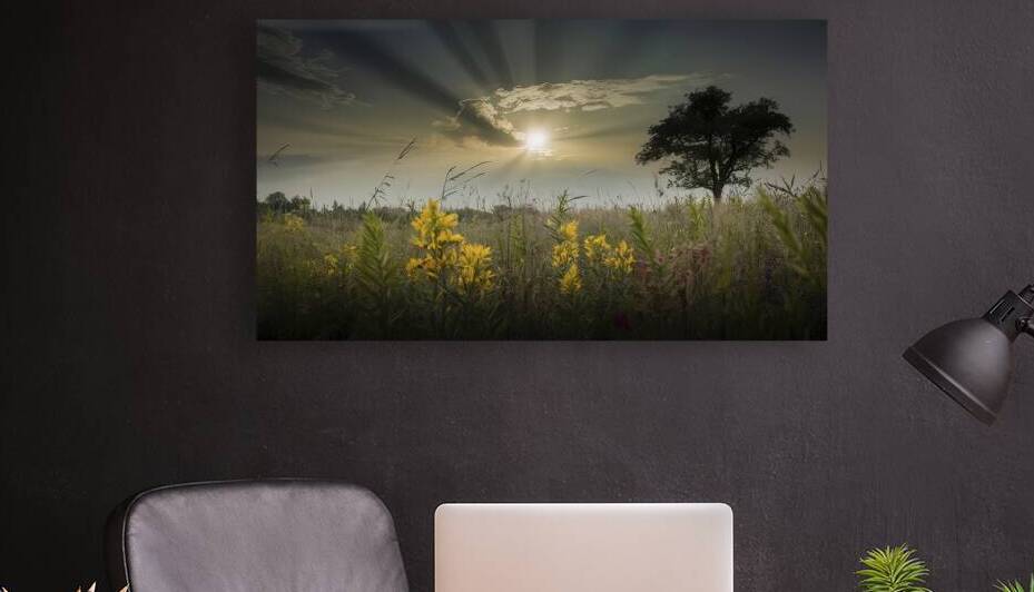 Meadow sunset or sunrise landscape with lonely tr 1722668252.9291 by Liviu Ghitun