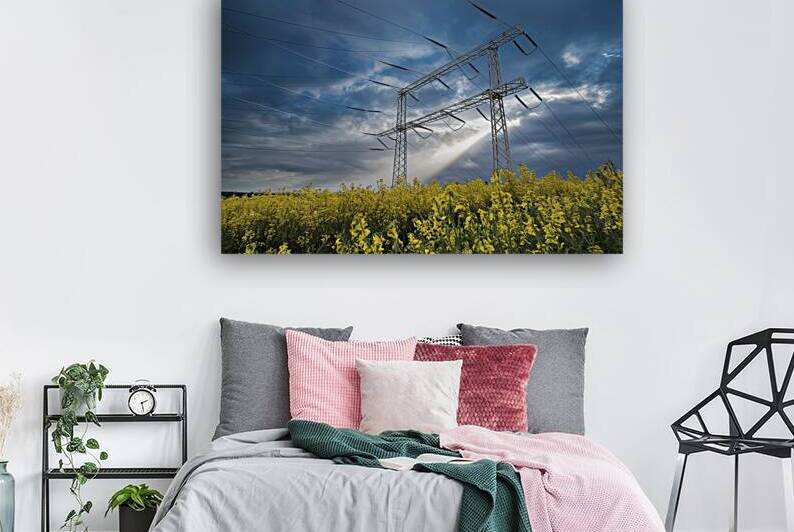 High voltage power lines above rapeseed field 3.j by Liviu Ghitun