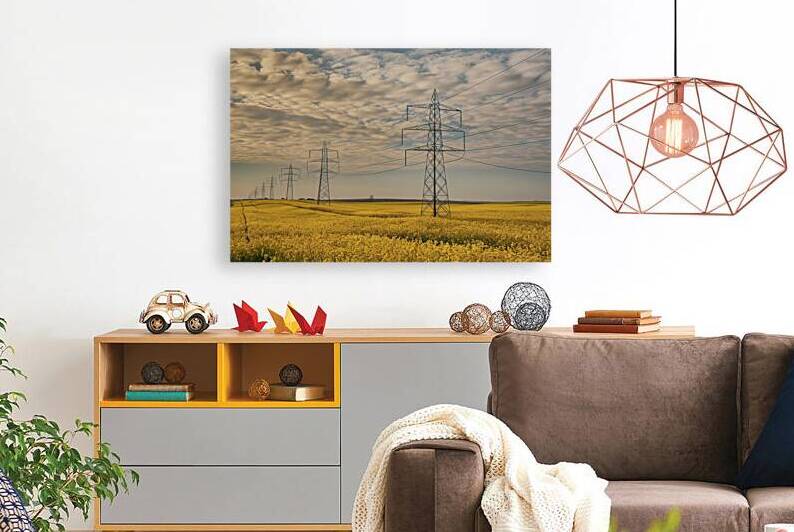 High voltage power lines above rapeseed field 2.j by Liviu Ghitun