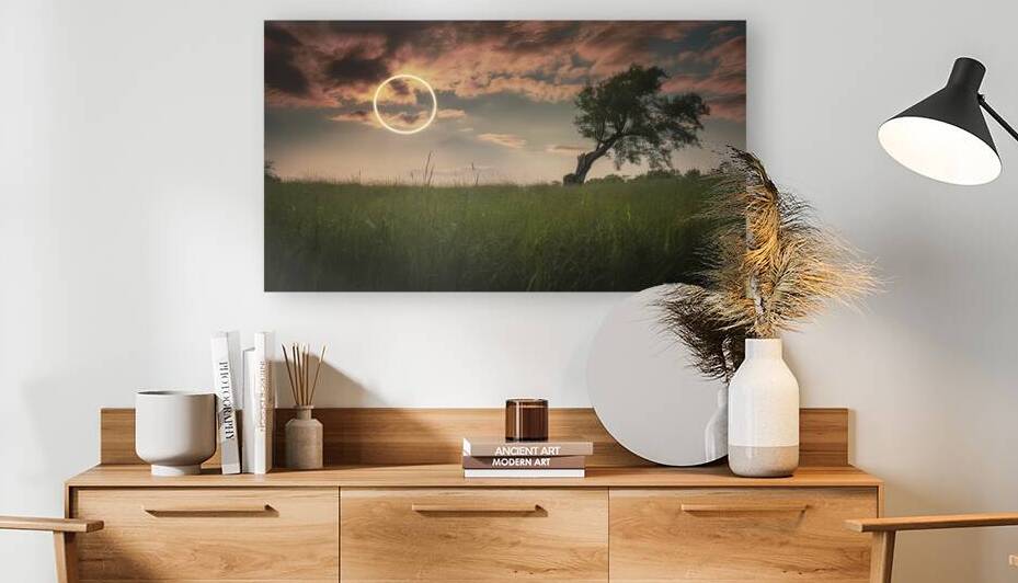 Meadow sunset or sunrise landscape with lonely tr 1722668256.74 by Liviu Ghitun