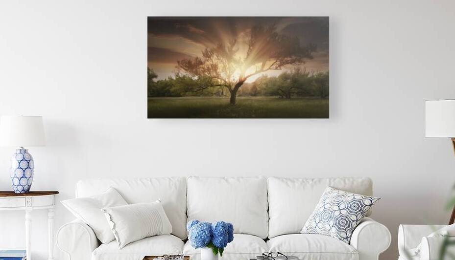 Meadow sunset or sunrise landscape with lonely tr by Liviu Ghitun