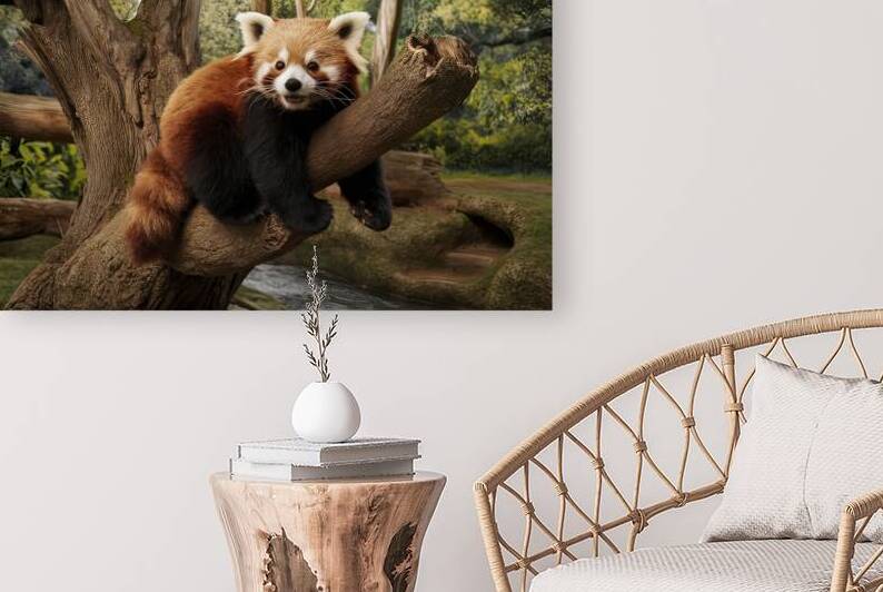 Red panda on the tree. Cute panda bear in forest  1722668820.8397 by Liviu Ghitun