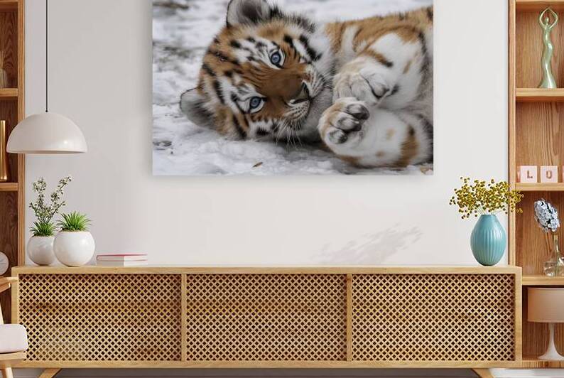 Siberian tiger cub Panthera tigris altaica 4 by Liviu Ghitun