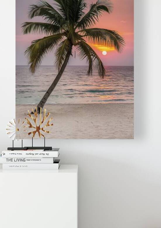 beautiful sea beach with coconut palm tree at sun 1722668815.2153 by Liviu Ghitun