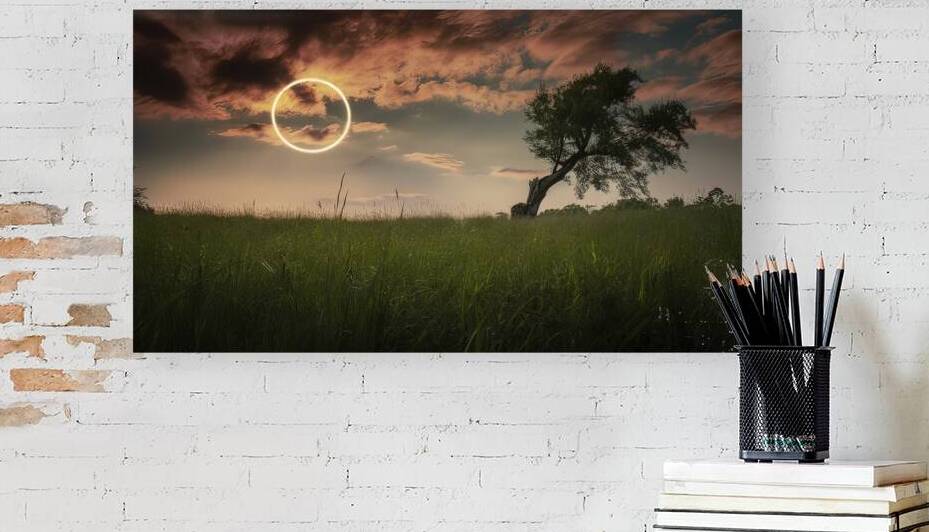 Meadow sunset or sunrise landscape with lonely tr 1722668810.7094 by Liviu Ghitun