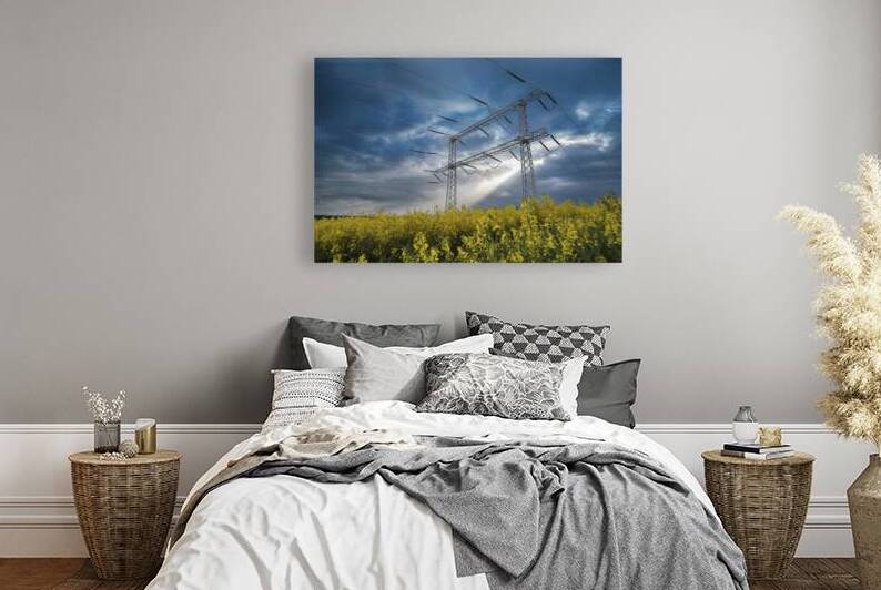 High voltage power lines above rapeseed field 3.j by Liviu Ghitun
