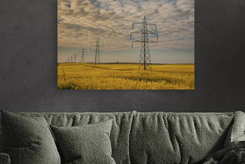 High voltage power lines above rapeseed field 2.j by Liviu Ghitun