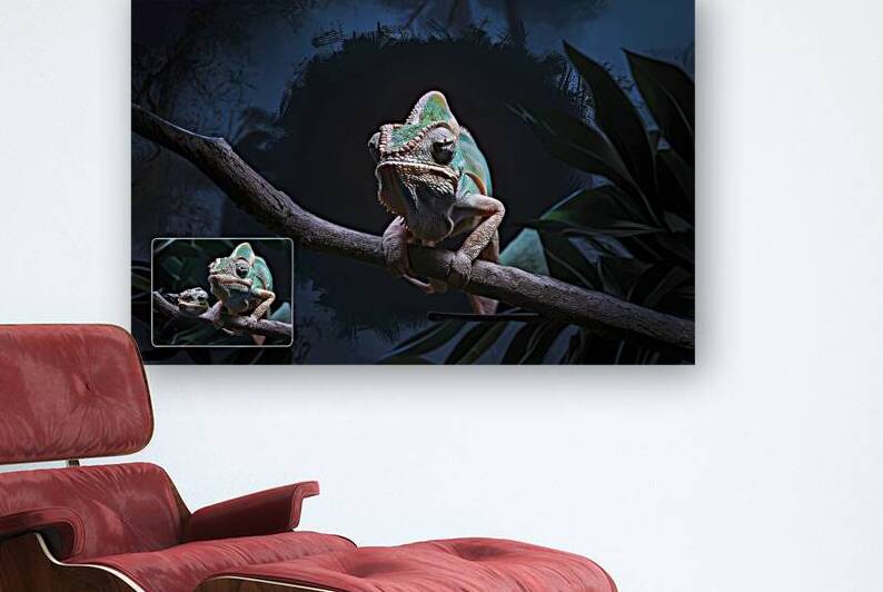 colorful chameleon on a branch in the dark at nig by Liviu Ghitun