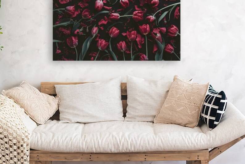 flat lay broken disheveled flowers of red tulips by Liviu Ghitun
