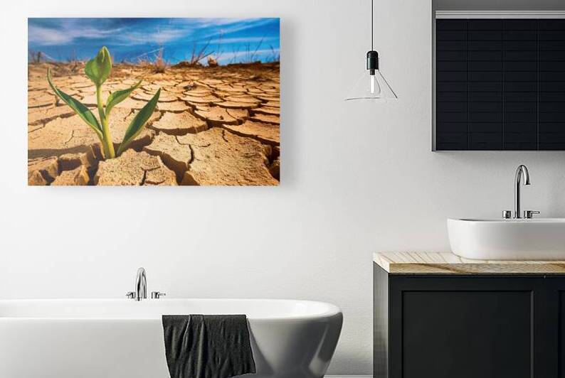 A young plant sprouting from cracked dry earth 3. by Liviu Ghitun