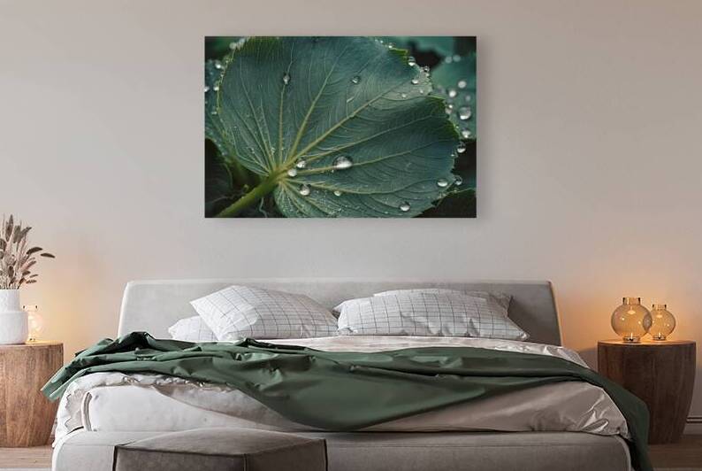 green leaf of a plant with dew drops in detail ma by Liviu Ghitun