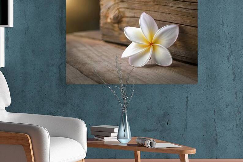 Plumeria on wood background 4 by Liviu Ghitun