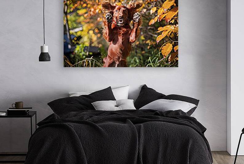 the red spaniel dog jumped up and raised both paw by Liviu Ghitun