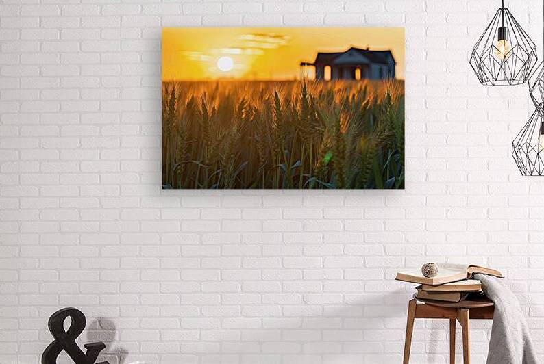 sunset over cereal field in summer 4 by Liviu Ghitun