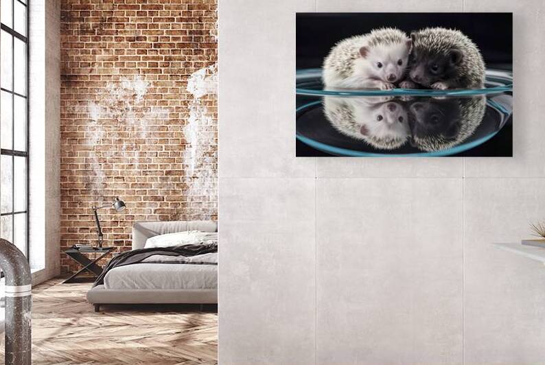 portrait of two cubs hedgehog on glass on a black by Liviu Ghitun