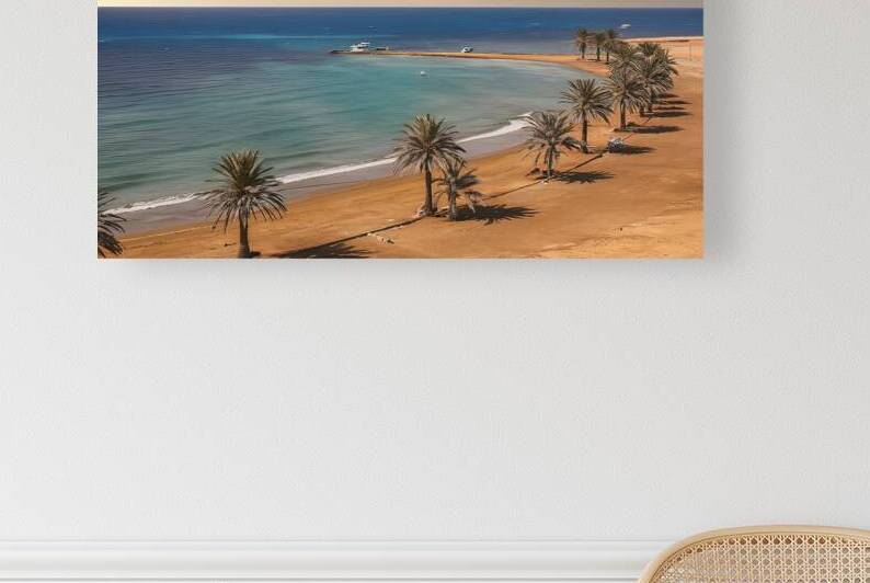 palm trees on the Red Sea 4 by Liviu Ghitun