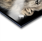 Courage Acrylic print