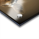 Over the MOOON Acrylic print