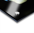 In the Light Acrylic print