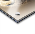 Earth Shaker Acrylic print