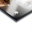 We Love You Acrylic print